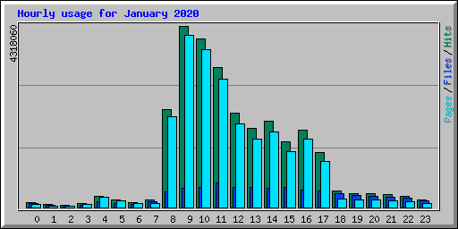 Hourly usage for January 2020